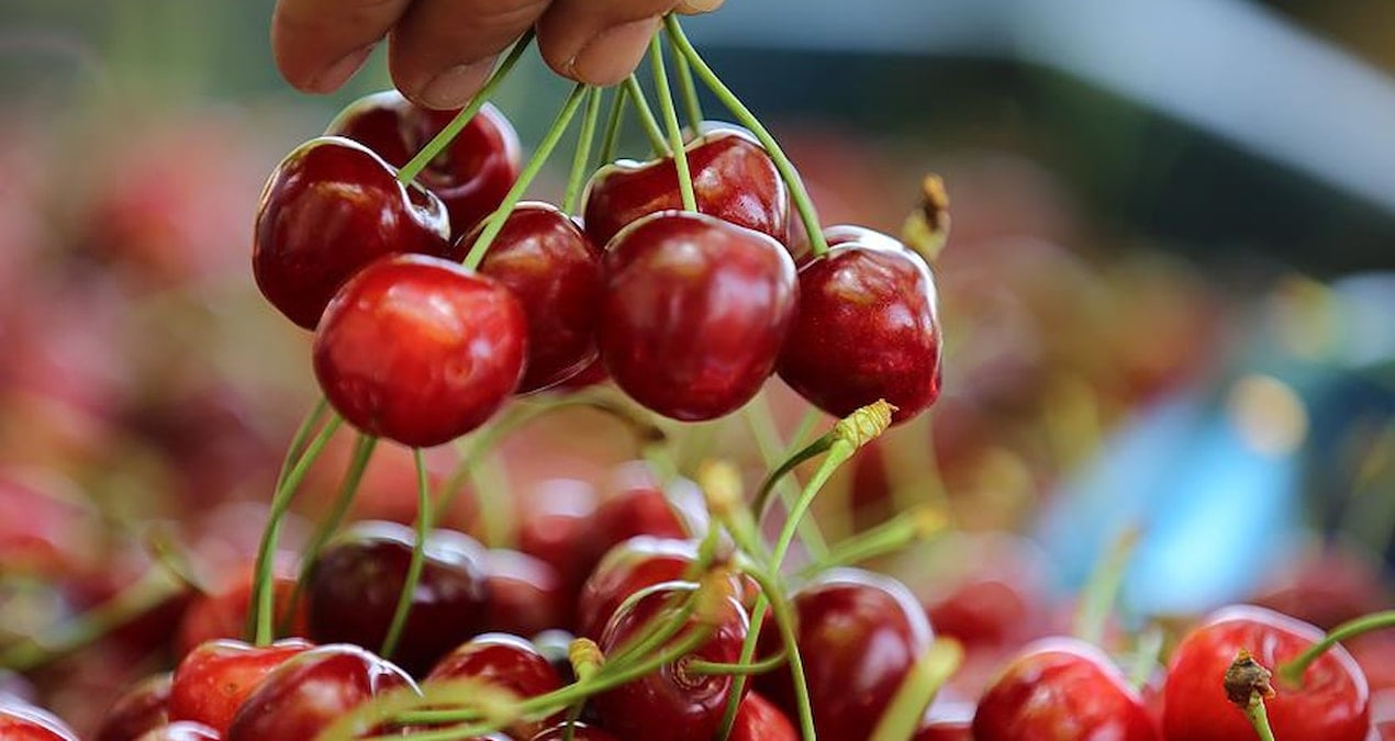 1000 TL’ye satılan kiraz Türkiye’ye 4 bin kilometre uzakta daha ucuz