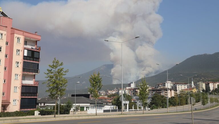 denizlide-orman-yangini-bir-supheli-gozaltinda-4y8Qp8Ad.jpg