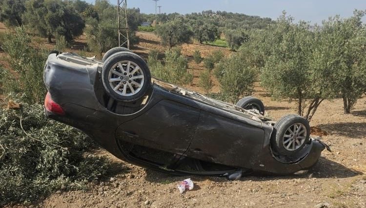 Hatay’da otomobil zeytin bahçesine uçtu