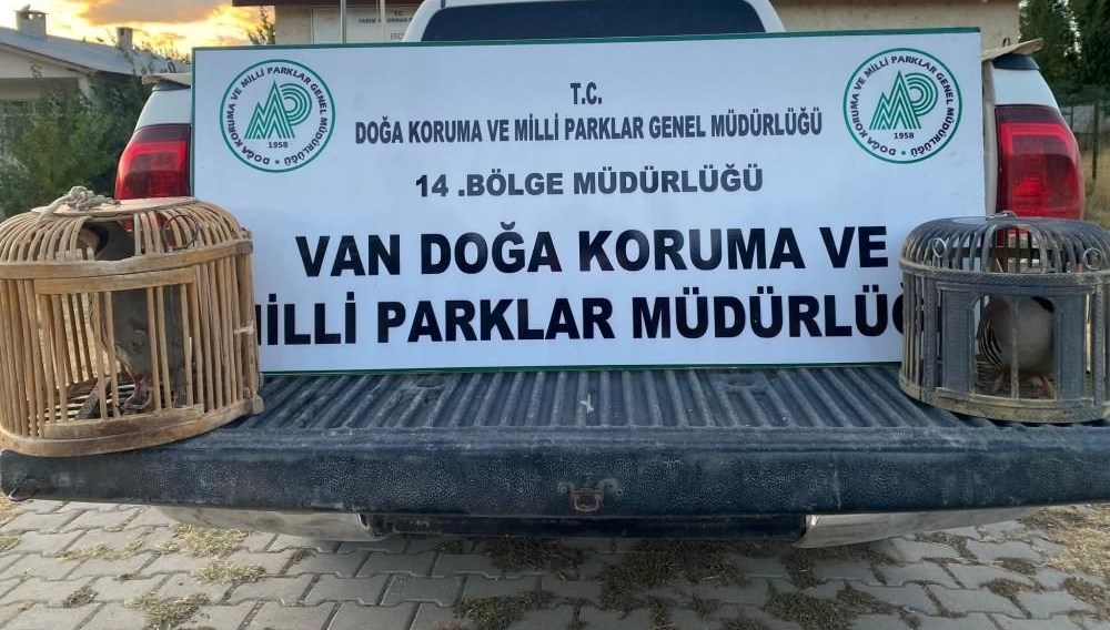 Kaçak keklik avlayan kişiye 48 bin lira ceza