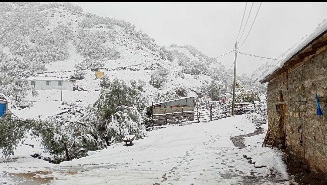 Hasadı yapılmayan ceviz kar altında kaldı