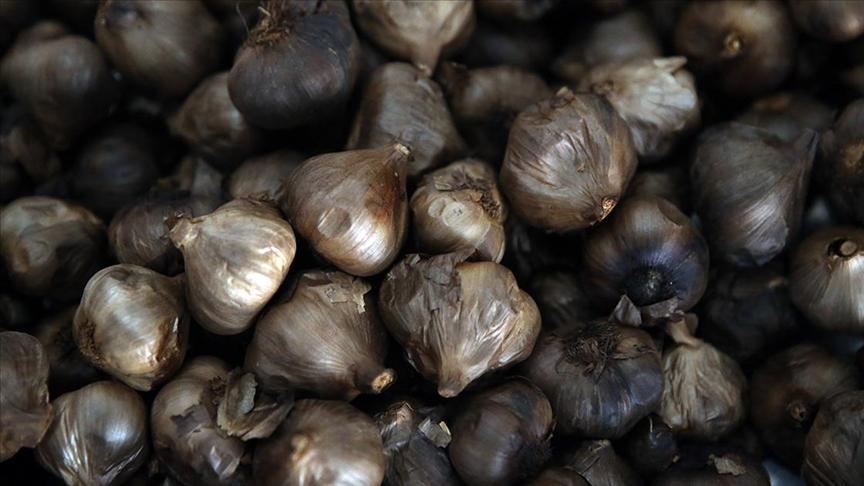 Siyah sarımsak 6 ülkeye ihraç ediliyor