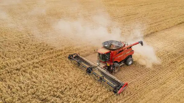 TÜİK eylül verilerini açıkladı: Tarımda üretici fiyatları yükseldi