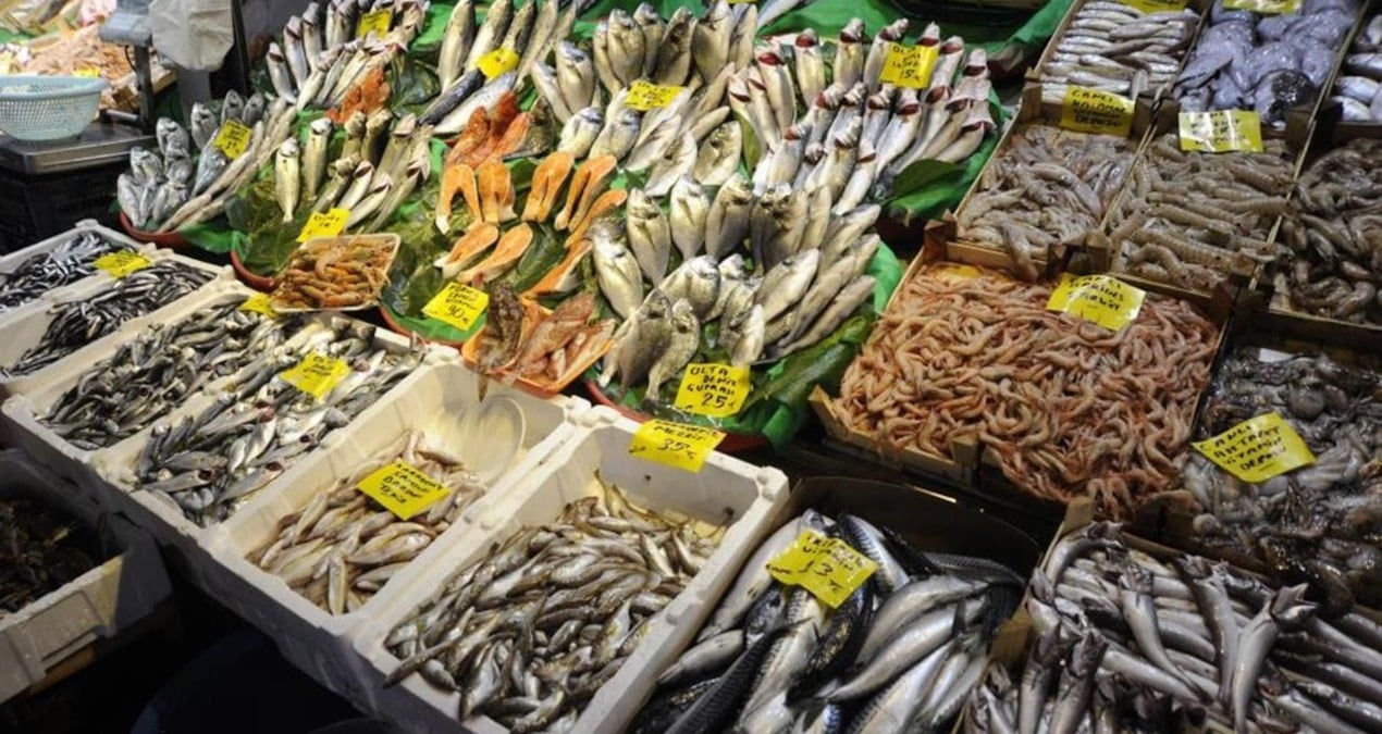 Hamsi son yılların en düşük fiyatını gördü