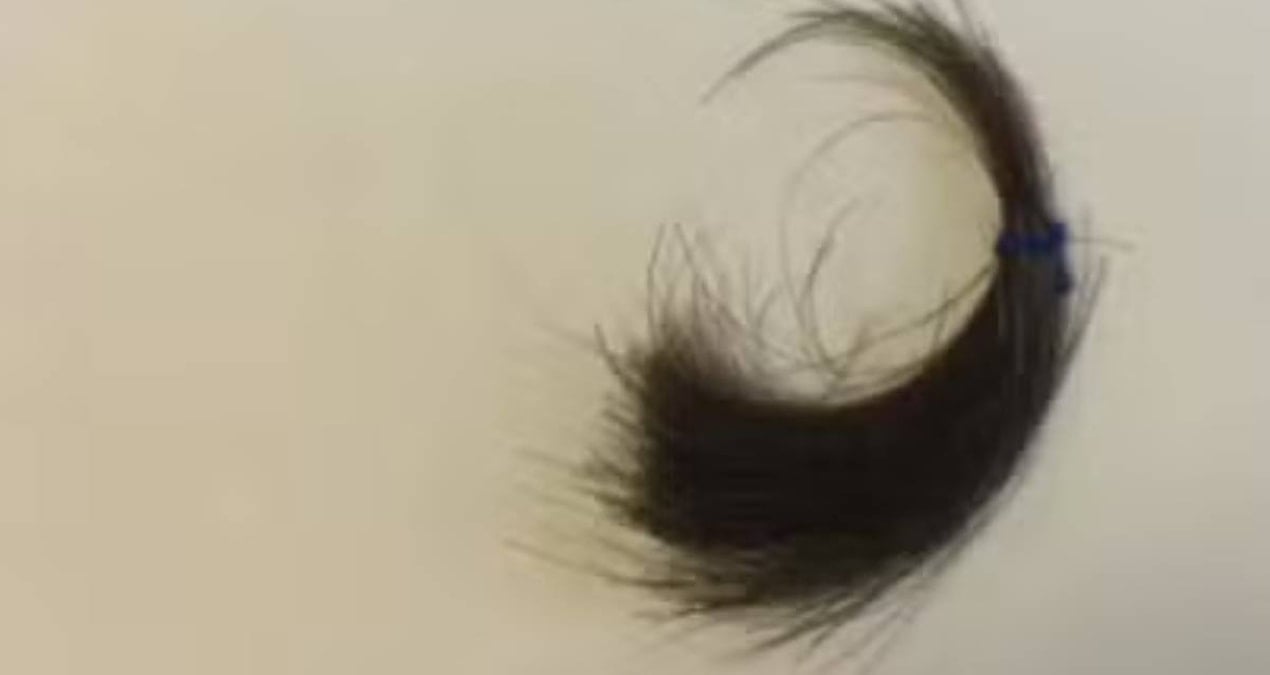 Kralın bir tutam saçı 450 bin liraya satışa çıkarıldı: Dünya bunu konuşuyor