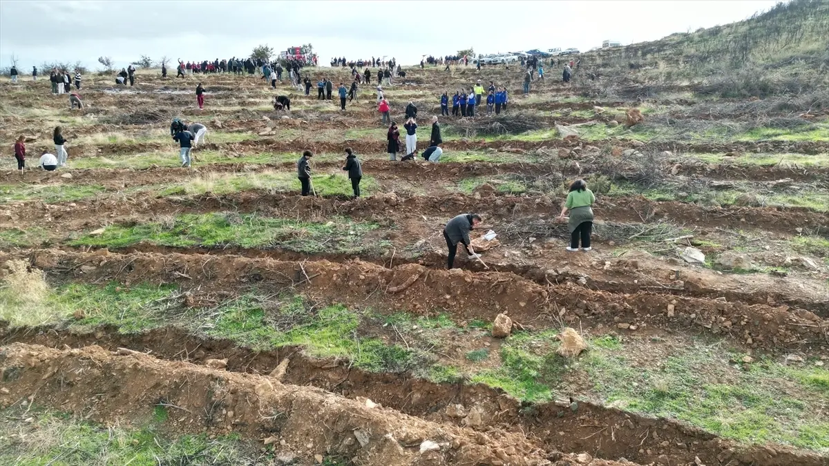 Manisa’da Ağaçlandırma Etkinlikleri