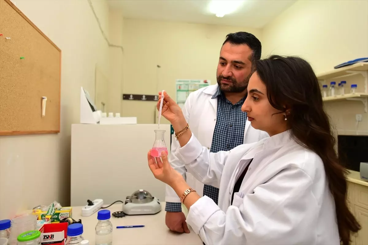 Van Yüzüncü Yıl’dan Akıllı Sulama Sistemi