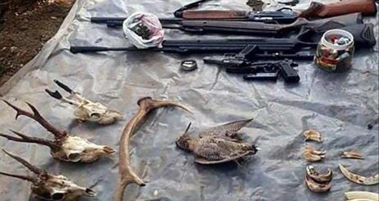 İstanbul’da elektrik şoklu kaçak avcılığa 750 bin lira ceza