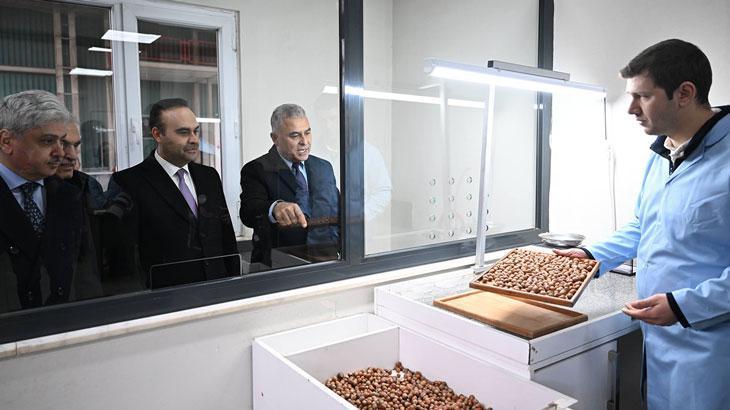 Sakarya’da 52 milyon dolarlık dev proje: Fındık kabuğundan aktif karbona