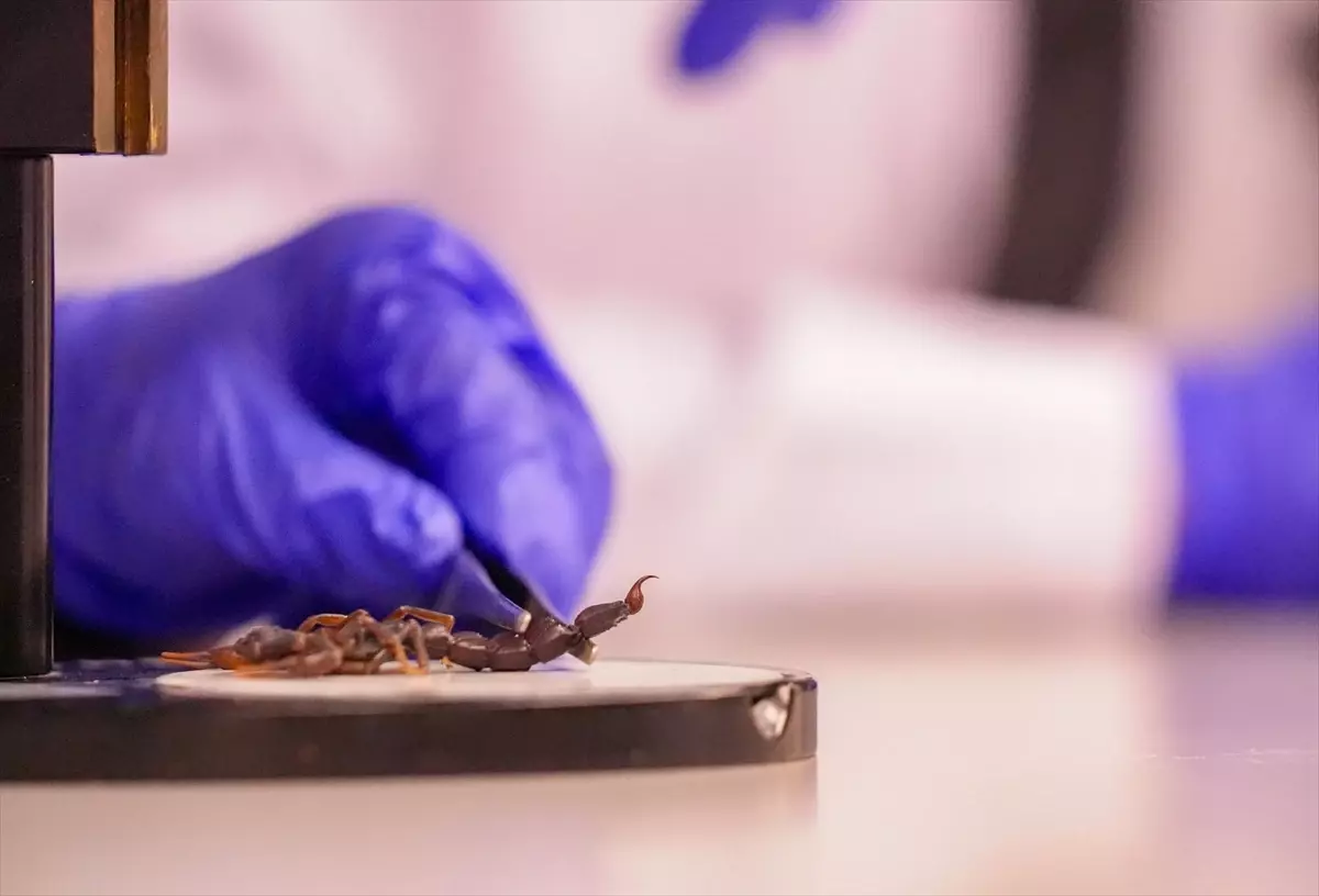 Diyarbakır’da Akrep Üretimi ve Bilimsel Destek