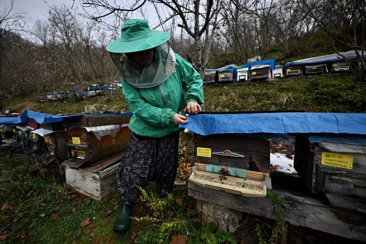 Hacer Uğurlu: Arıcılıkla Ailecek Geçim Sağlıyor