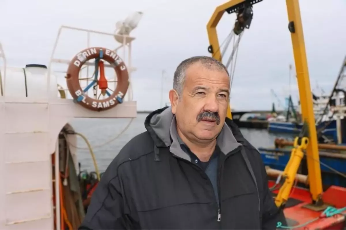 Hamsi Gürcistan’a Göç Etti