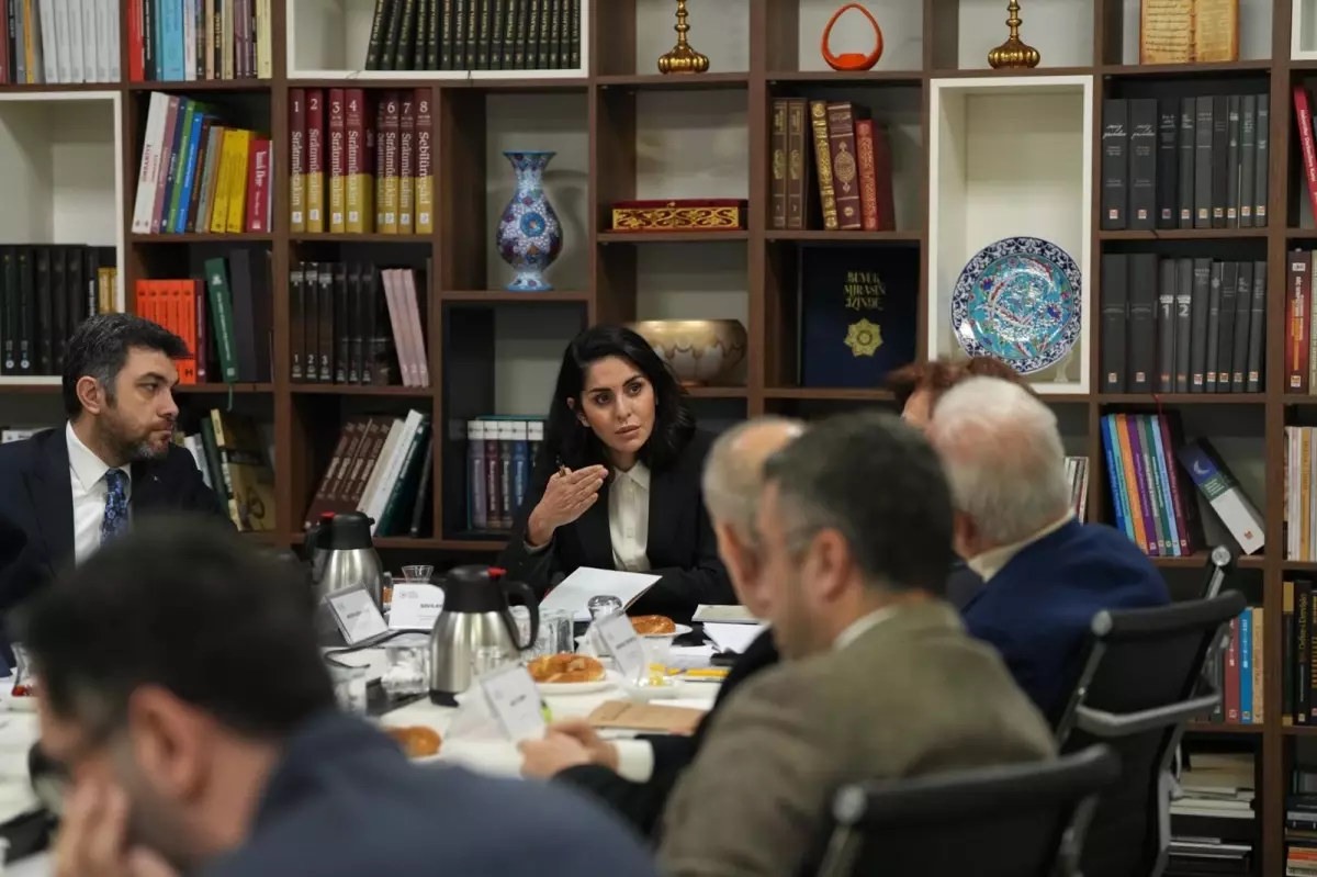 Tarihi Alanlar Toplantısı