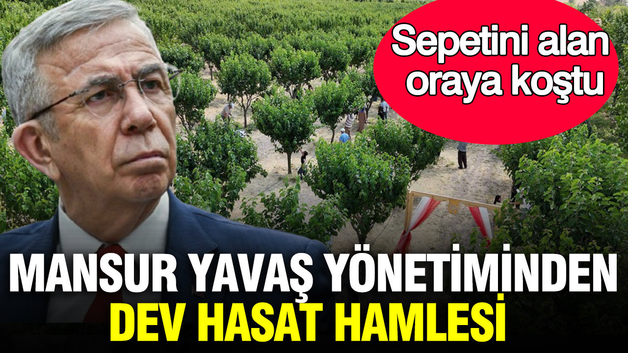 Mansur yavas yonetiminden dev hasat hamlesi sepetini alan oraya kostu 9GyZnffO